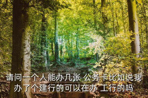 請問一個人能辦幾張 公務卡比如說我辦了個建行的可以在辦 工行的嗎