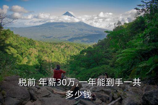  稅前 年薪30萬,一年能到手一共多少錢