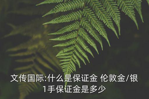 文傳國際:什么是保證金 倫敦金/銀1手保證金是多少