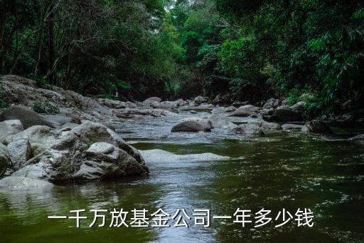 一千萬(wàn)放基金公司一年多少錢(qián)