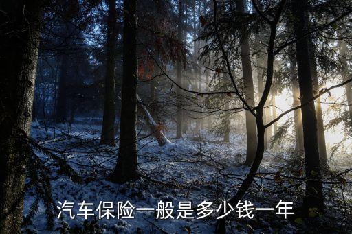 汽車保險(xiǎn)一般是多少錢一年