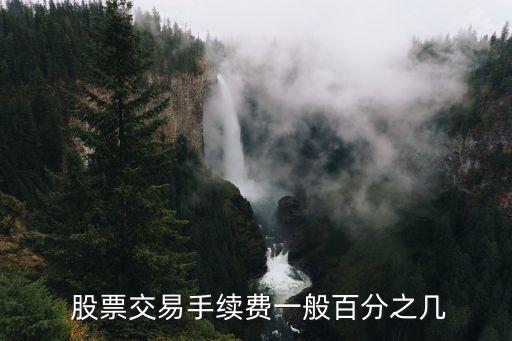  股票交易手續(xù)費一般百分之幾