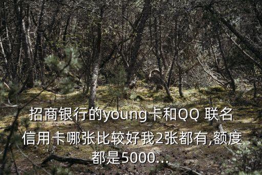 招商銀行的young卡和QQ 聯(lián)名 信用卡哪張比較好我2張都有,額度都是5000...