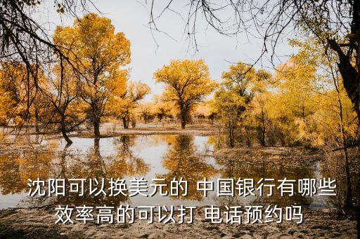 沈陽中國銀行支行地址電話是多少錢,中國銀行中心區(qū)支行電話地址