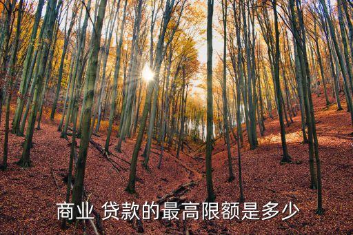  商業(yè) 貸款的最高限額是多少