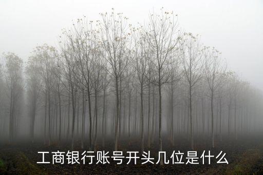  工商銀行賬號開頭幾位是什么