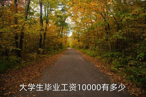 大學(xué)生畢業(yè)工資10000有多少