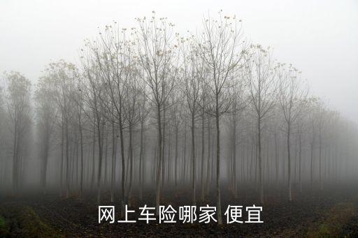 網(wǎng)上買車保險便宜多少錢啊,公安網(wǎng)上買車能便宜多少