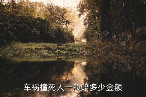 民生車卡車禍賠多少錢