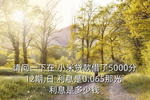 請問一下在 小米貸款借了5000分12期,日 利息是0.065那光 利息是多少錢