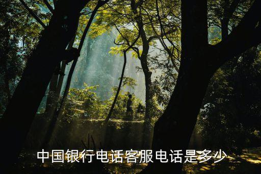  中國銀行電話客服電話是多少