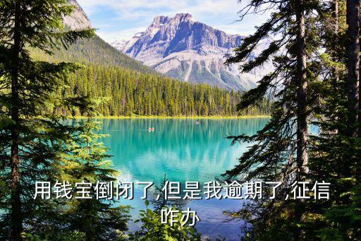 用錢(qián)寶貸款分期付款多少天不算違約