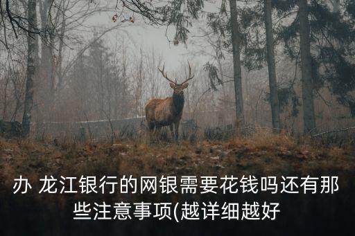 辦 龍江銀行的網(wǎng)銀需要花錢嗎還有那些注意事項(越詳細越好