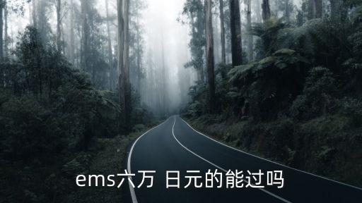 ems六萬 日元的能過嗎