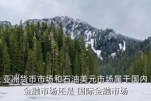 亞洲貨幣市場(chǎng)和石油美元市場(chǎng)屬于國(guó)內(nèi)金融市場(chǎng)還是 國(guó)際金融市場(chǎng)