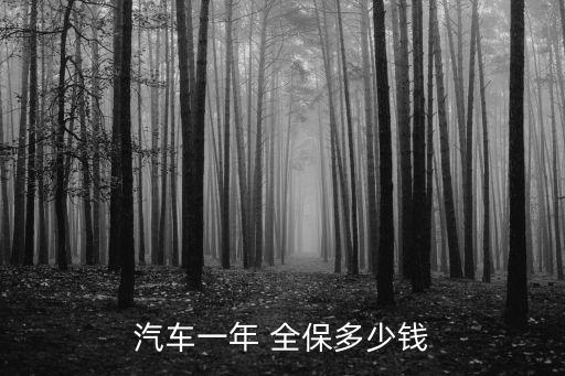汽車一年 全保多少錢
