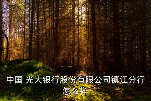 中國 光大銀行股份有限公司鎮(zhèn)江分行怎么樣
