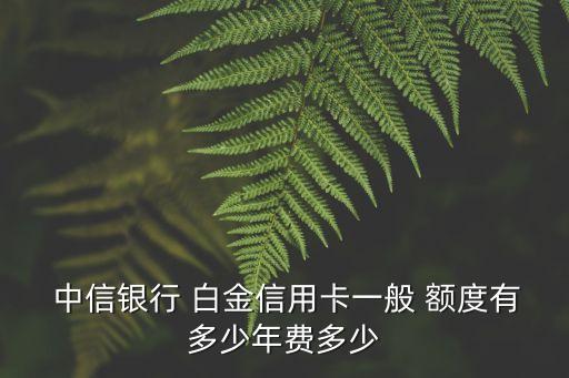  中信銀行 白金信用卡一般 額度有多少年費(fèi)多少
