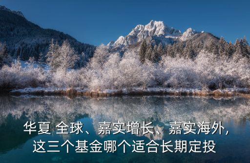  華夏 全球、嘉實增長、嘉實海外,這三個基金哪個適合長期定投