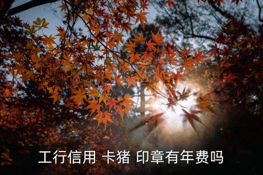 工行信用 卡豬 印章有年費(fèi)嗎