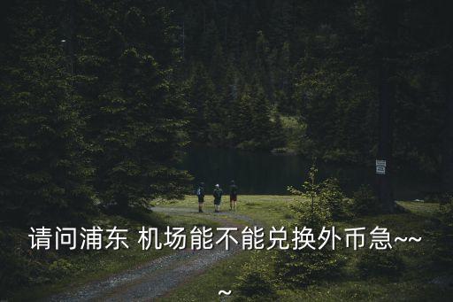 請問浦東 機(jī)場能不能兌換外幣急~~~