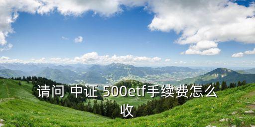 請問 中證 500etf手續(xù)費怎么收