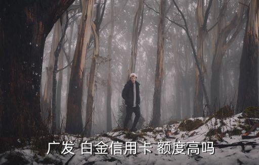  廣發(fā) 白金信用卡 額度高嗎