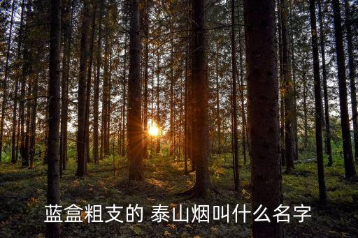 泰山藍(lán)色盒子多少錢,泰山白藍(lán)色盒子的煙