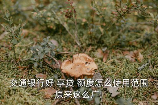 交通銀行好 享貸 額度怎么使用范圍原來這么廣!