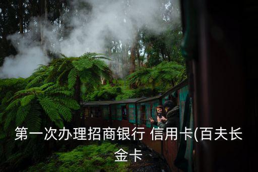 第一次辦理招商銀行 信用卡(百夫長(zhǎng)金卡