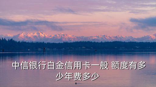  中信銀行白金信用卡一般 額度有多少年費(fèi)多少