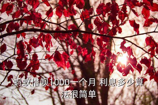 支付寶借唄利息最低多少錢