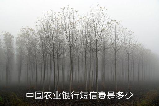 信息服務(wù)費(fèi)多少錢,二手車服務(wù)費(fèi)一般多少錢
