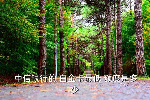 中信ic白金初始額度是多少,中信銀聯(lián)標準ic白金信用卡額度