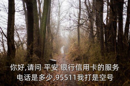 你好,請(qǐng)問(wèn) 平安 銀行信用卡的服務(wù)電話是多少,95511我打是空號(hào)