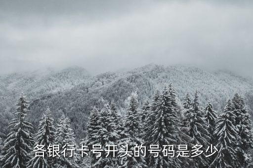 各銀行卡號開頭的號碼是多少