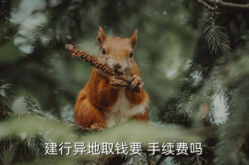 中國建設(shè)銀行國外取款手續(xù)費多少