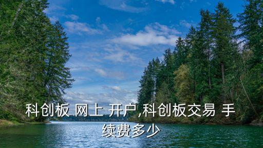 網(wǎng)上開戶的手續(xù)費(fèi)是多少錢,國(guó)金證券網(wǎng)上開戶手續(xù)費(fèi)