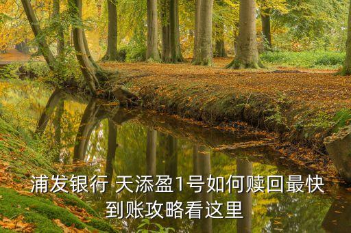 浦發(fā)天添贏利息是多少
