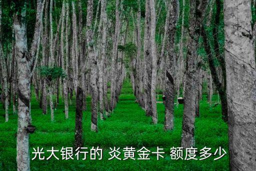  光大銀行的 炎黃金卡 額度多少