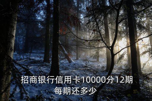 招商一萬(wàn)塊錢十二期要還多少