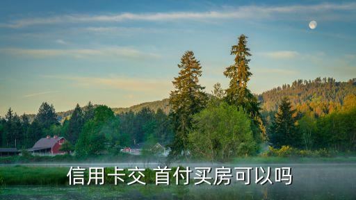 信用卡交 首付買房可以嗎