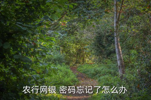 農(nóng)行網(wǎng)銀 密碼忘記了怎么辦