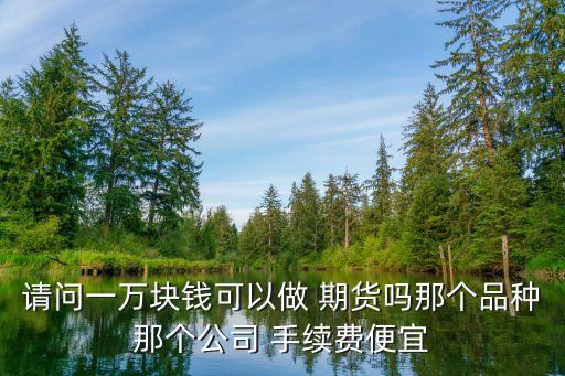 請(qǐng)問(wèn)一萬(wàn)塊錢(qián)可以做 期貨嗎那個(gè)品種那個(gè)公司 手續(xù)費(fèi)便宜