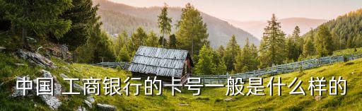 工商卡多少位數(shù),工商注冊號多少位數(shù)