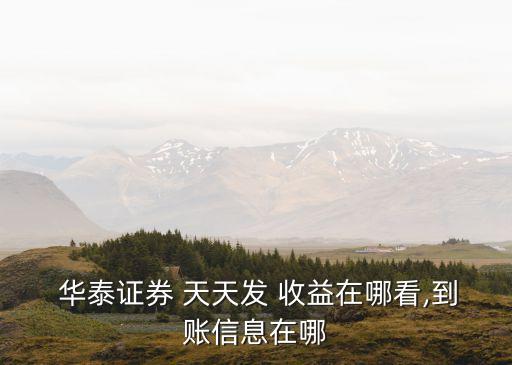  華泰證券 天天發(fā) 收益在哪看,到賬信息在哪
