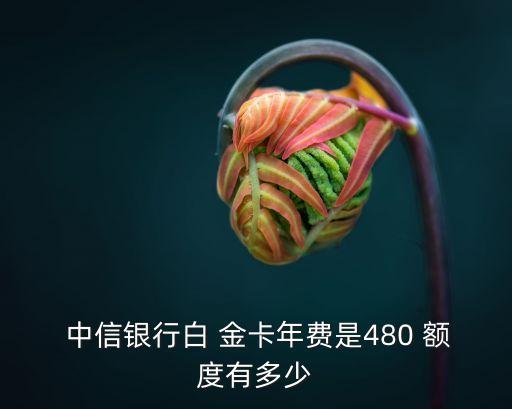 中信的白金卡最低額度是多少,中信華為白金卡最低額度