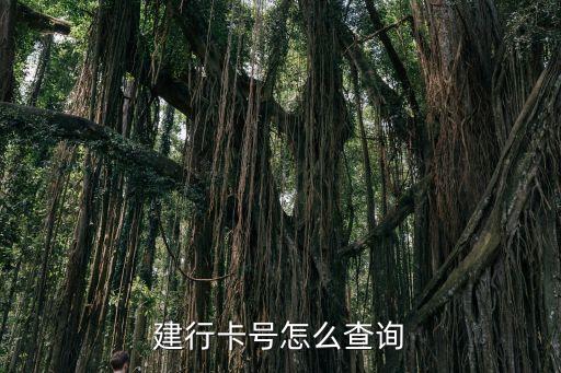 建行卡號(hào)怎么查詢