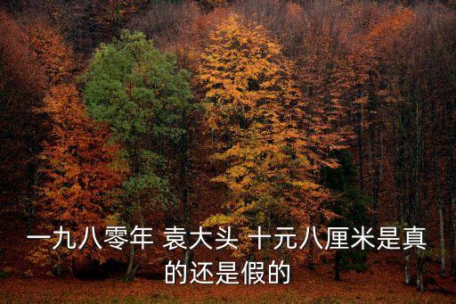 一九八零年 袁大頭 十元八厘米是真的還是假的