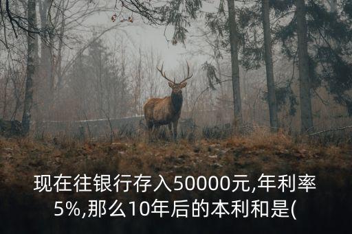 現(xiàn)在往銀行存入50000元,年利率5%,那么10年后的本利和是(